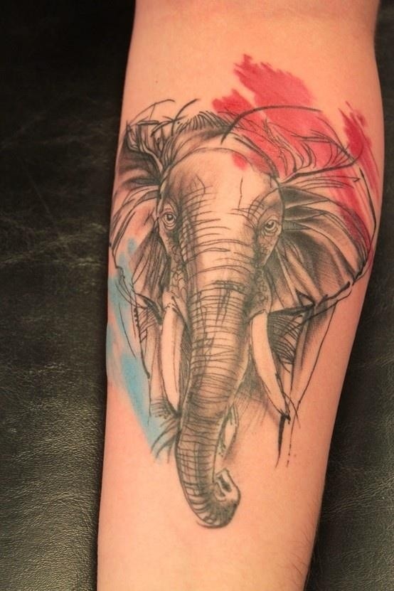 Big elephant tattoo on leg - Tattooimages.biz